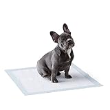 Amazon Basics, Tappetini per l'addestramento di cani e cuccioli, design a 5 strati a prova di perdite, superficie ad asciugatura rapida, dimensione standard, 56 x 56 cm, confezione da 150
