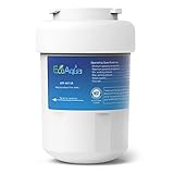 EcoAqua EFF-6013A Filtro Acqua Frigo Compatibile con GE SmartWater MWF, MWFA, MWFA, MWFAP, MWFDS, MWF-INT, MWFP; Hotpoint HWF, HWFA; 101057A, 1013000110, 101300A, GWF, GWF01, GWF06, GWFA, GWFDS (1)
