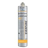 Ricambio Filtro ForHome per Everpure 4C2 (ex 4DC)