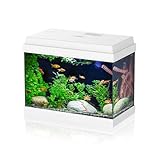 AQPET Acquario in Vetro per Pesci Tropicali Completo di Accessori Filtro Luce Simply, 30 39x22x30 cm 30 Litri, Bianco