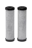 Ecopure EPW2 C00 Carbon whole Home replacement Filter, 2-pack by Ecopure