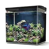 AQPET NEYA Acquario da Scrivania con Filtro e Pompa Inclusi, LED 5 Modalità e Porte USB – Mini Acquario in Acrilico con Coperchio Apribile, Ideale per Betta, Caridine e Piante Acquatiche 5lt (Nero)