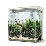 AQPET NEYA Acquario da Scrivania con Filtro e Pompa Inclusi, LED 5 Modalità e Porte USB – Mini Acquario in Acrilico con Coperchio Apribile, Ideale per Betta, Caridine e Piante Acquatiche 5lt (Bianco)